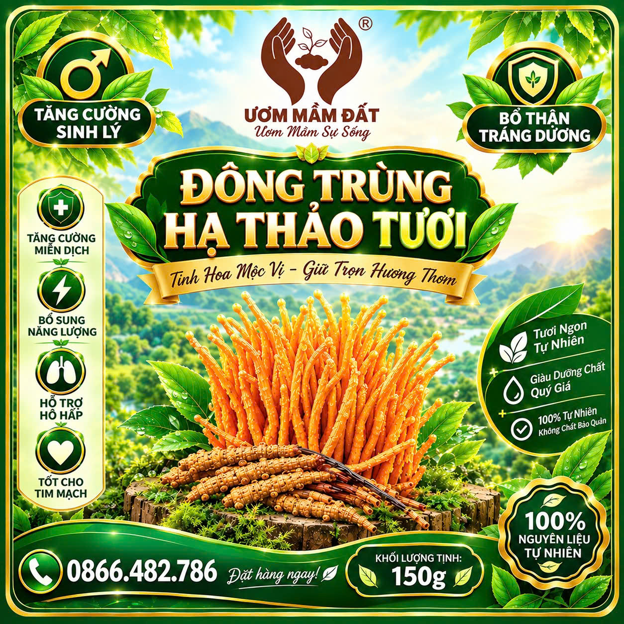 thực phẩm bảo vệ sức khỏe